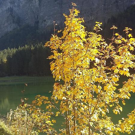 Logis Hotel Les Sapins Montriond Esterno foto