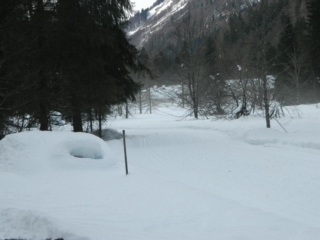 Logis Hotel Les Sapins Montriond Esterno foto