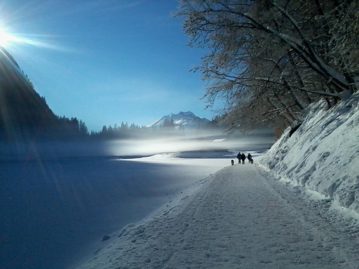 Logis Hotel Les Sapins Montriond Esterno foto