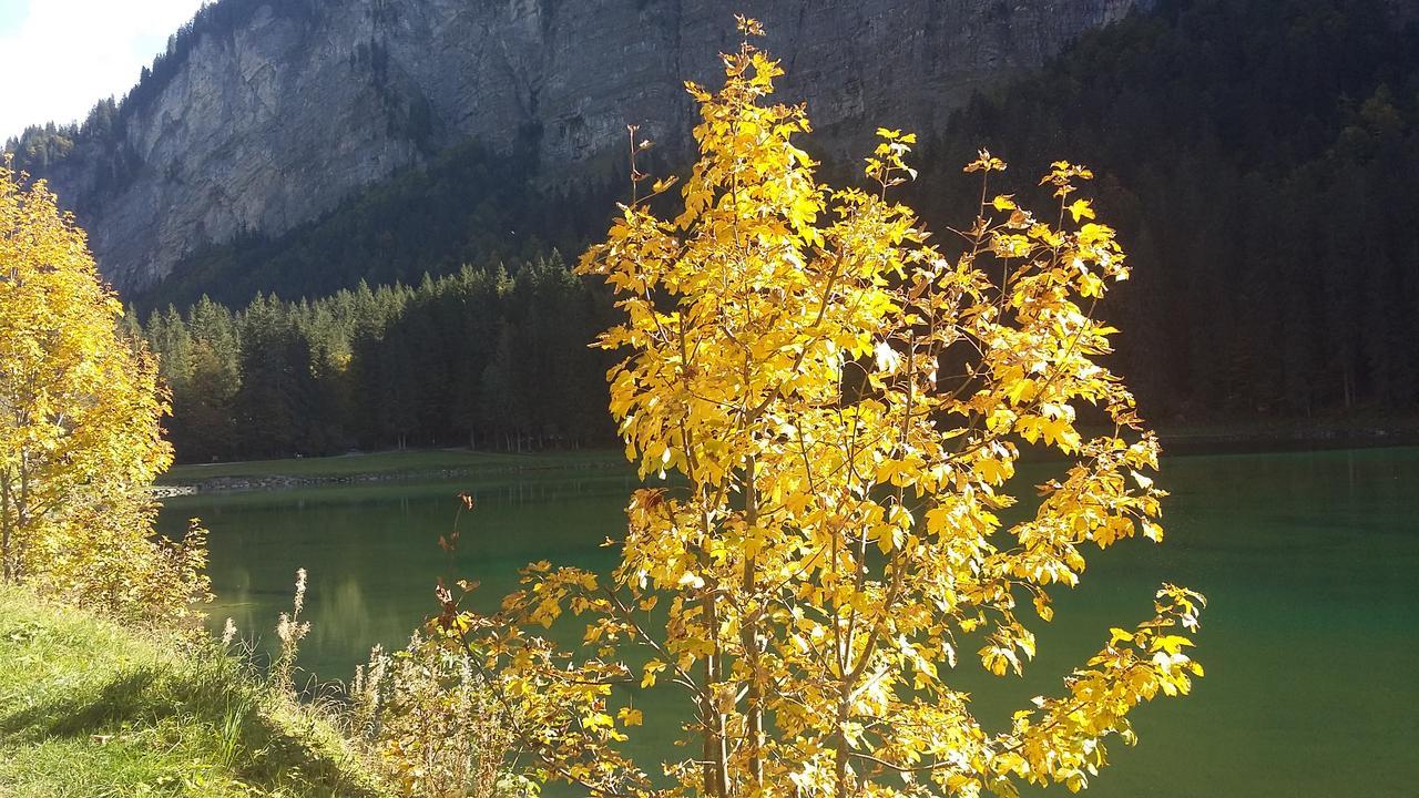 Logis Hotel Les Sapins Montriond Esterno foto