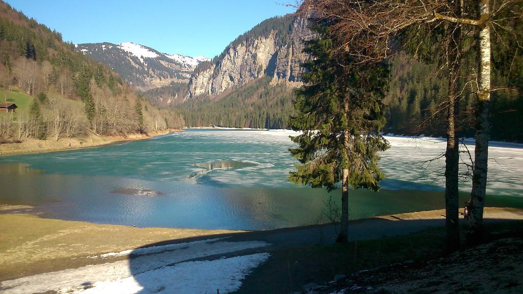 Logis Hotel Les Sapins Montriond Esterno foto