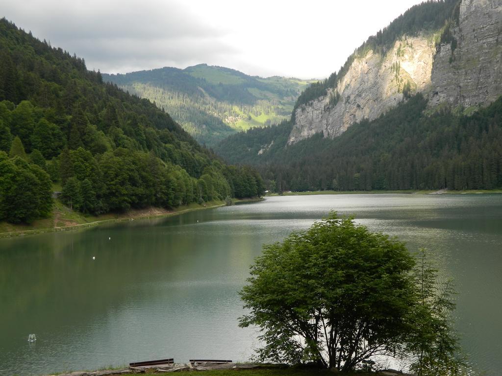 Logis Hotel Les Sapins Montriond Esterno foto